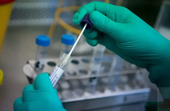 新加坡南洋理工大学研发最新新冠病毒检测技术，最快36分钟内可获取结果